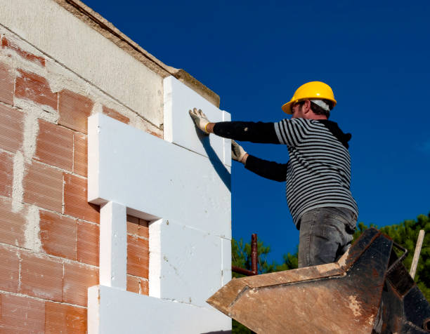 Best Insulation Removal Services  in Meadowood, PA