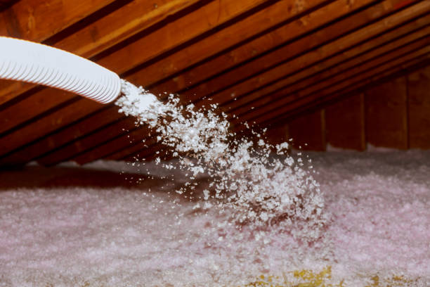Best Residential Insulation Services  in Meadowood, PA