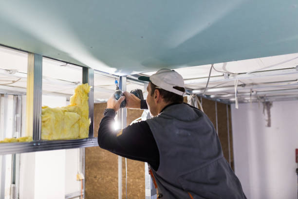 Best Spray Foam Insulation  in Meadowood, PA