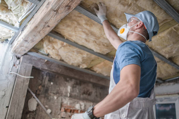 Best Insulation Contractors for Homes  in Meadowood, PA