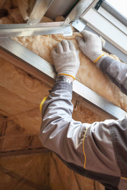 Best Insulation for New Construction  in Meadowood, PA