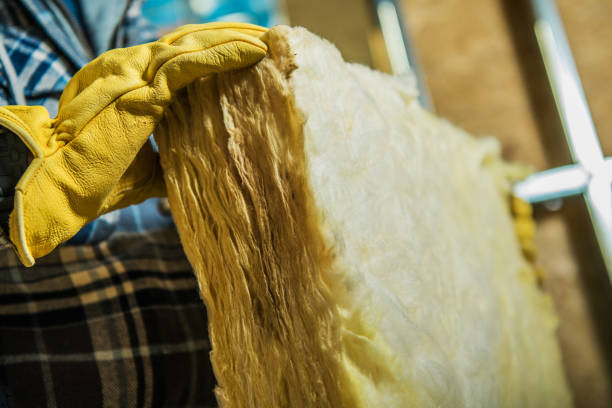 Best Home Insulation Services  in Meadowood, PA
