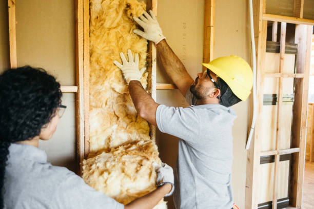 Best Insulation Inspection Services  in Meadowood, PA