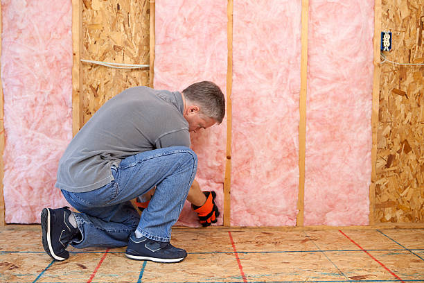 Best Attic Insulation Installation  in Meadowood, PA